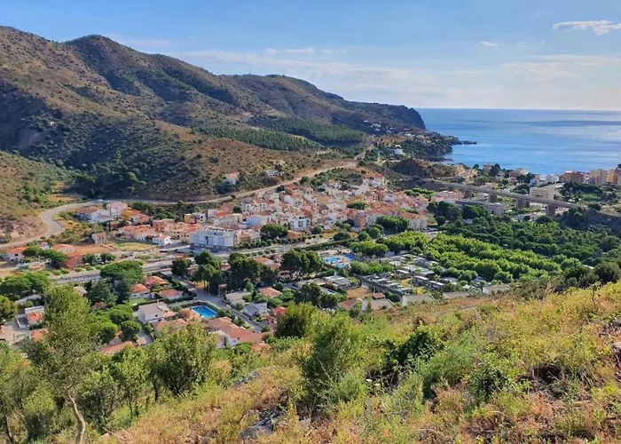 Margarida
